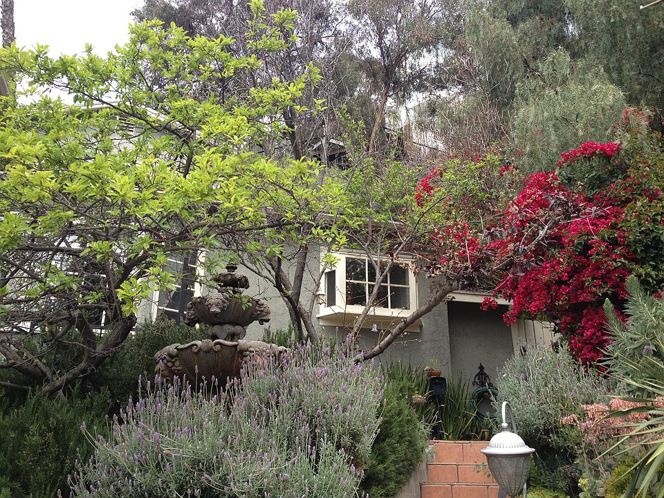 1st image of 2578 Verbena Dr