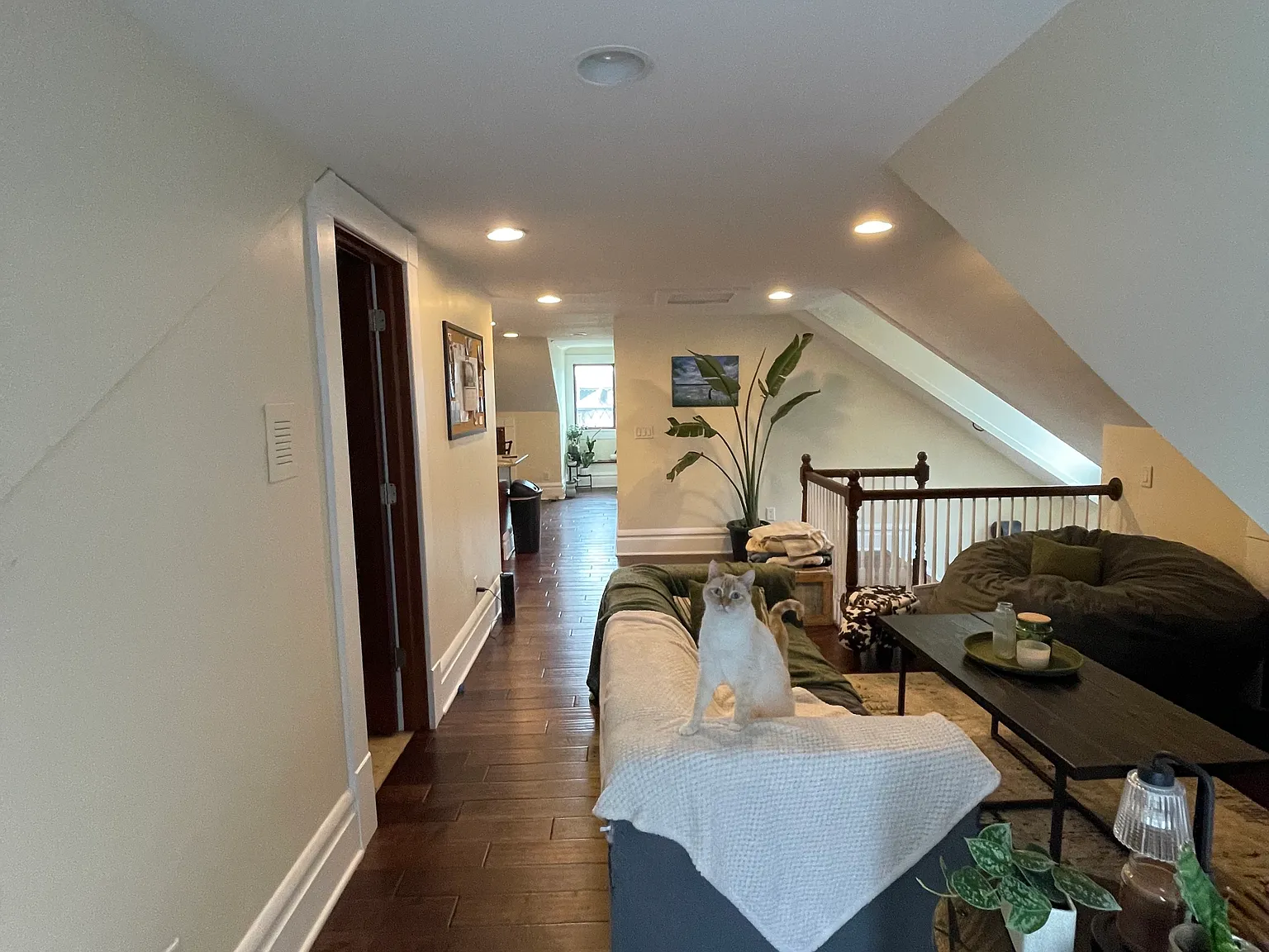1 bed, 750 sqft, $1,100 — Photo 3