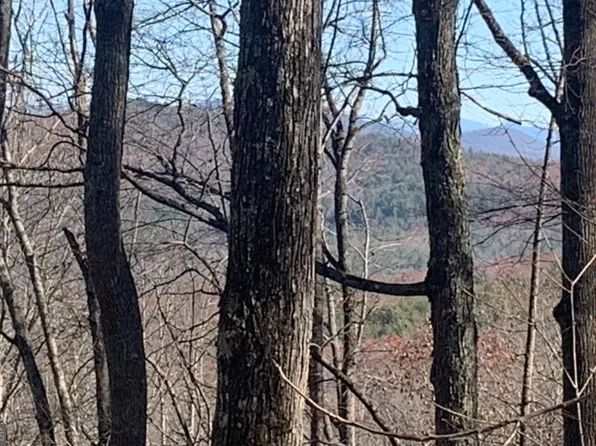 102 Badger Rd, Blairsville, GA 30512