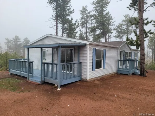 100 Wolverine Drive, Florissant, CO 80816