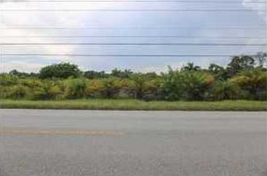Citrus Blvd. view