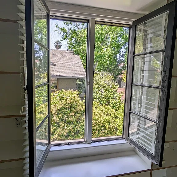 Treetop Window View