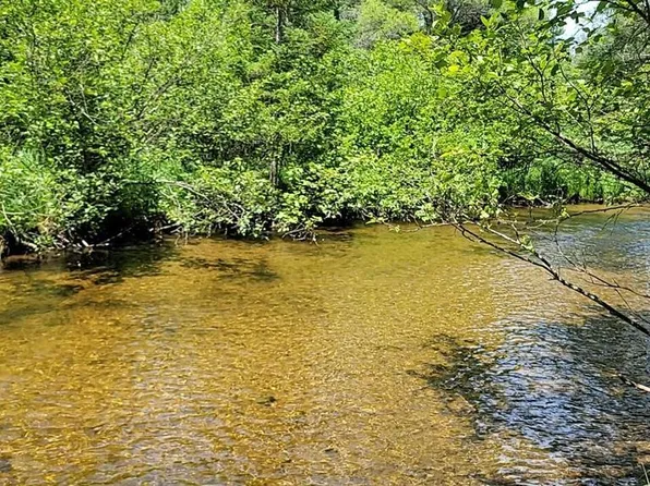 3028 Palmer Pl, Grayling, MI 49738