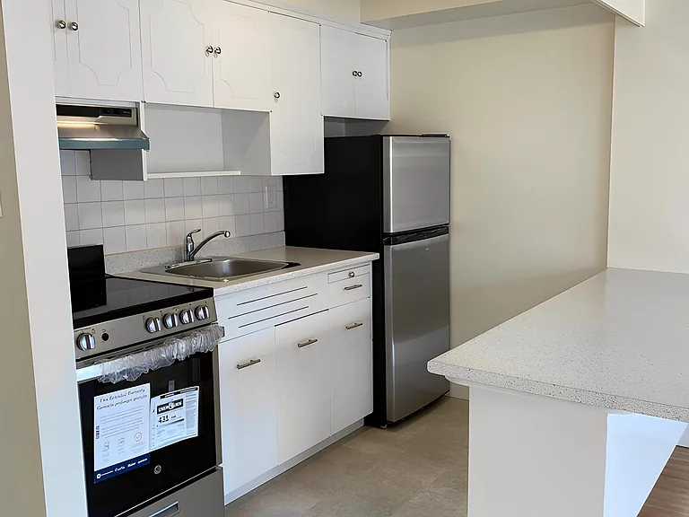 425 Carnarvon St — Photo 27
