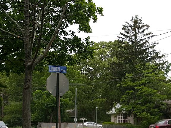 5th image of 11 Linden Ave
