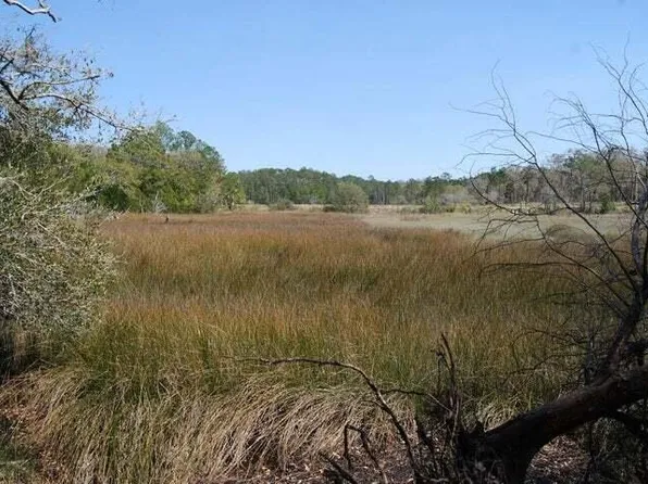 5955 Bears Bluff Rd, Wadmalaw Island, SC 29487