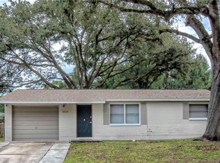 8008 Alpine Ave, Tampa, FL 33619