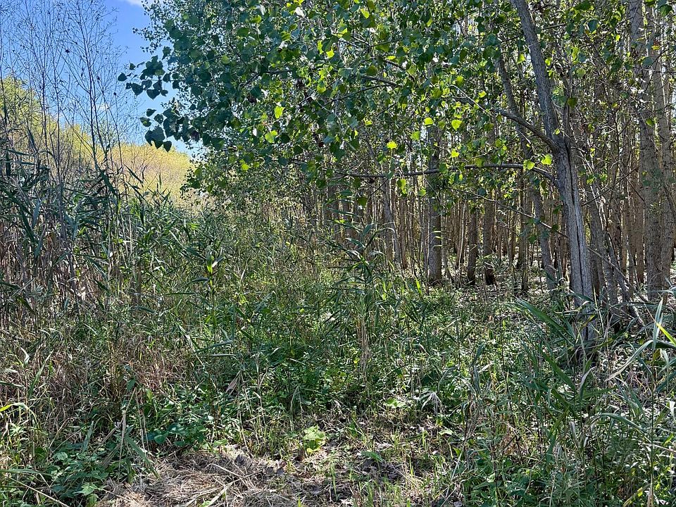 Cade Rd, photo 20