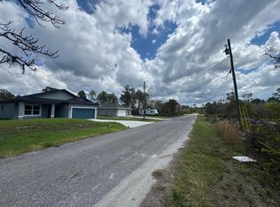 Fisher Loop Pass LOT 12, Ocklawaha, FL 32179