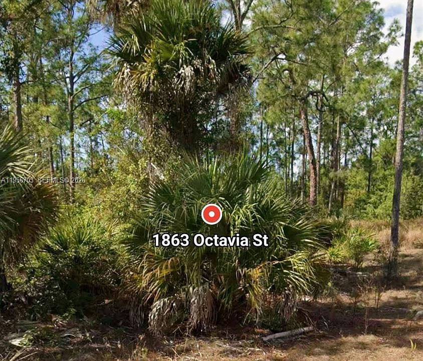 1st image of 1863 Octavia St