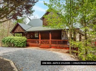 133 Dallas Ln, Blue Ridge, GA 30513