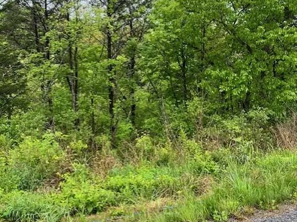 000 Amherst Road, Branson, MO 65616