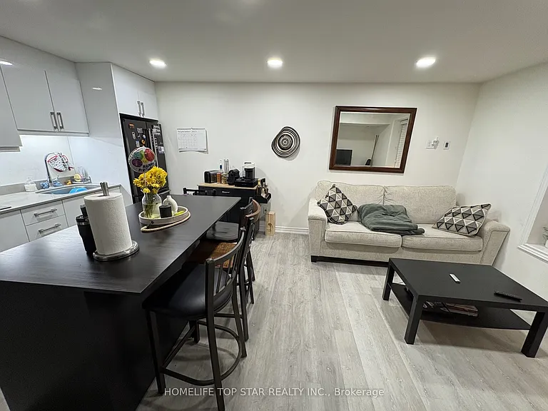 47 W Cooper Creek Ct #BASEMENT — Photo 3