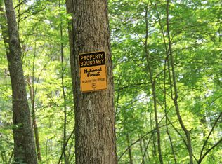 Griffith Pkwy, Blue Ridge, GA 30513