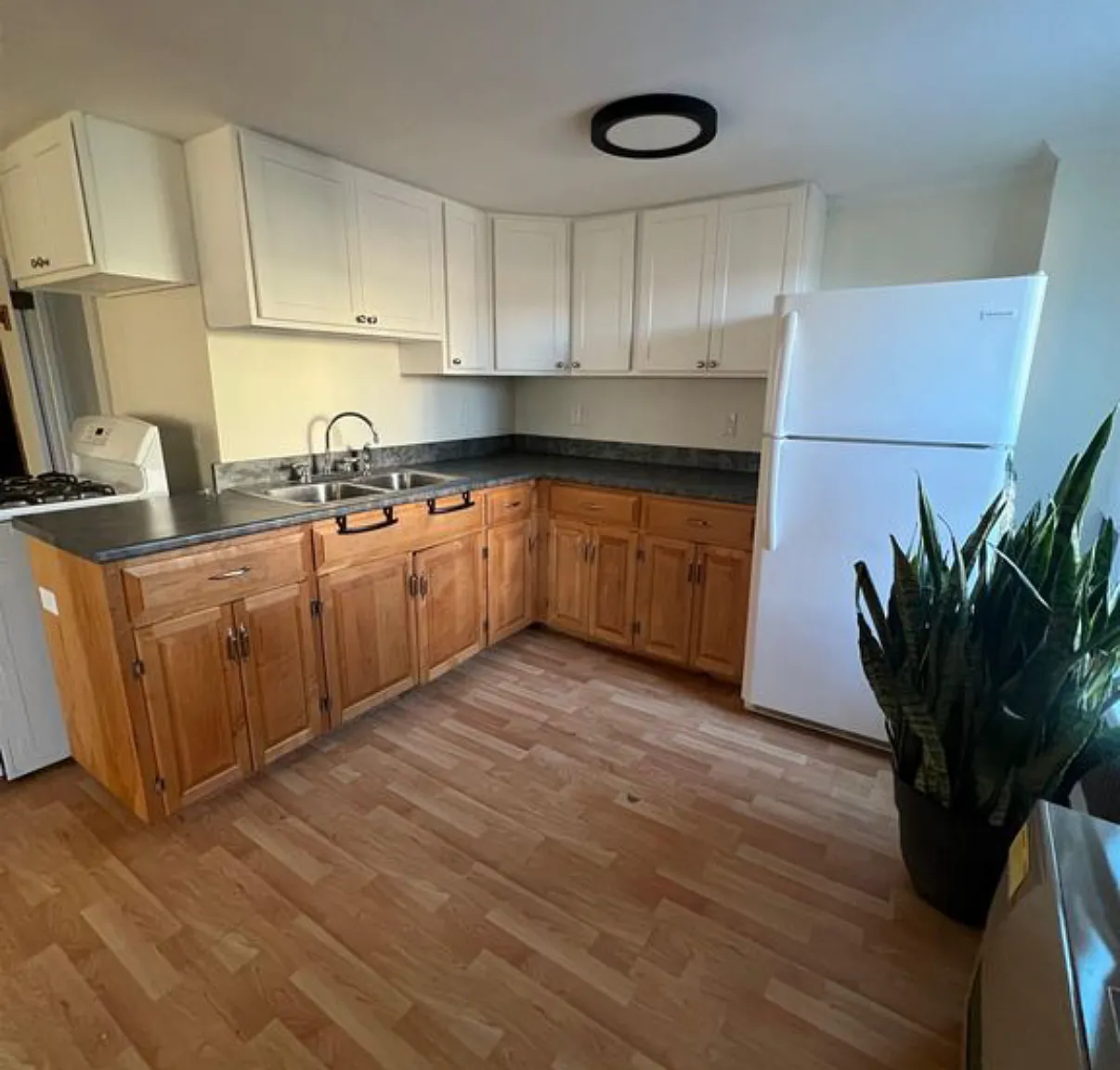 2 bed, $2,000 — Photo 1