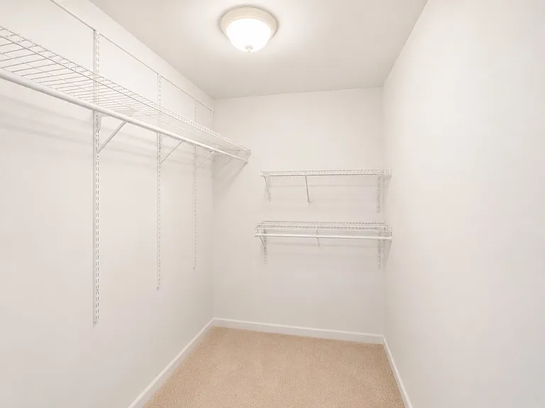 The Ln — Photo 3