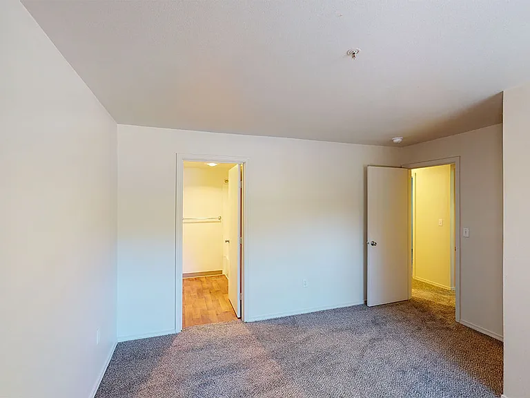 Spacious apartment bedroom with large closet and plush carpet flooring.