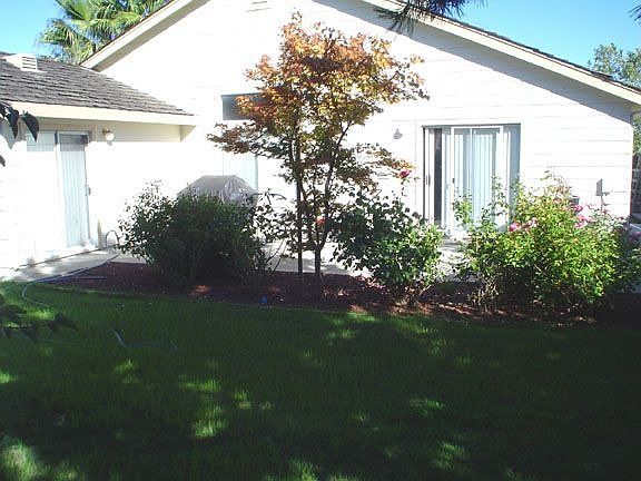 Grass area of backyard