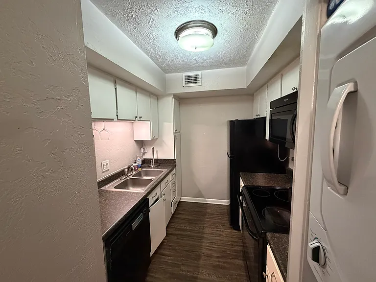 4441 Old College Rd #6206 — Photo 6