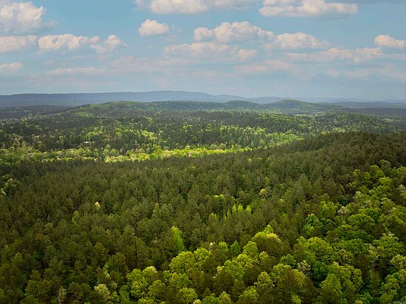 5th image of 9319 Albert Pike Rd