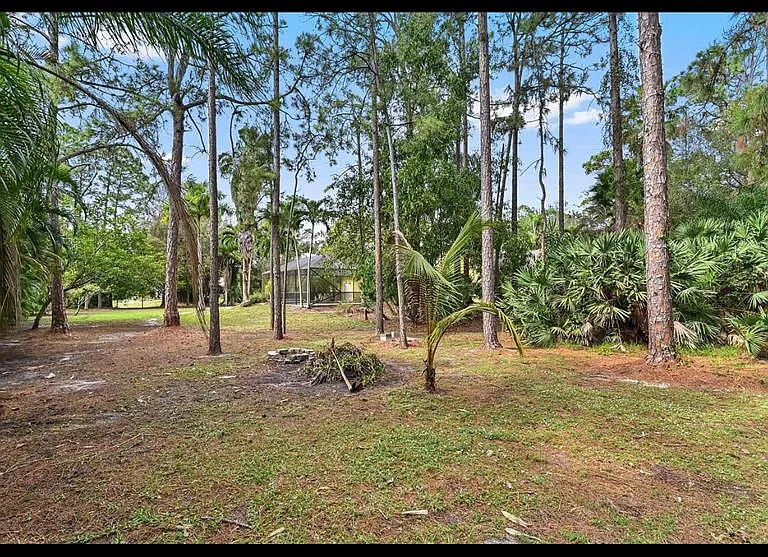 14846 61st Ct N — Photo 7