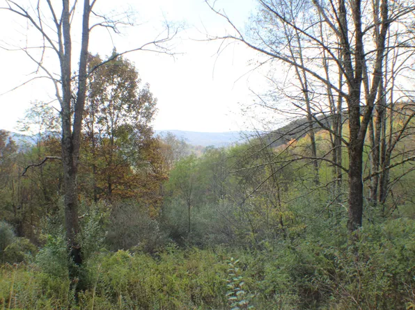 Elk Headwaters Ln, Slatyfork, WV 26291