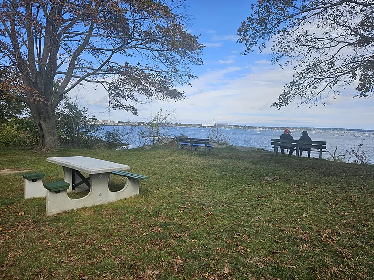 Forest River Park