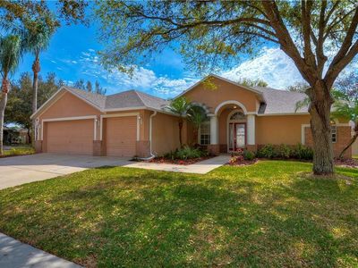 19014 Dove Creek Dr, Tampa, FL, 33647
