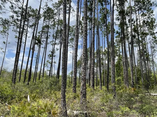 State Road 20 W, Youngstown, FL 32466