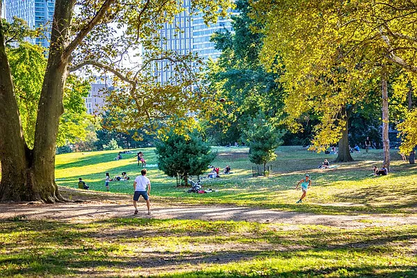 Rented by Forest City Ratner Companies | media 62