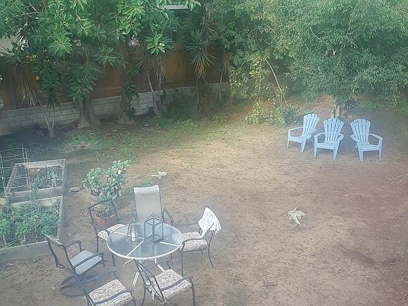 backyard/common space