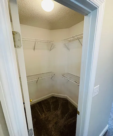 144 Secretariat Dr — Photo 23