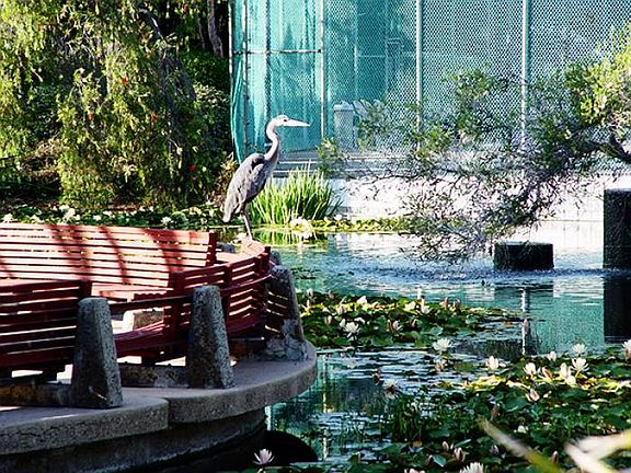 Tropical Landscaping