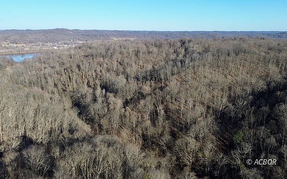 3rd image of Wells Run Rd