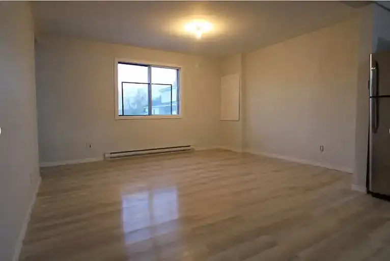 2 bed, 1.0 bath, 800 sqft, $1,500 — Photo 4