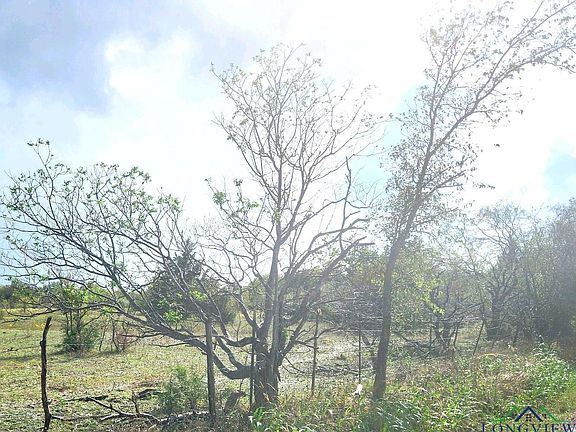 4th image of SW County Road 2190