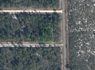 3103 Frances Ave, Lake Placid, FL 33852