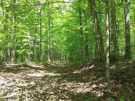 5th image of Peters Ford Rd
