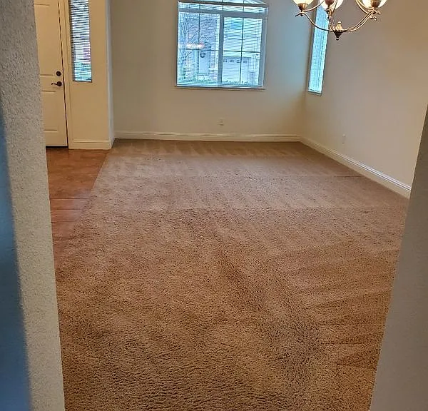 1004 Hildebrand Cir — Photo 20