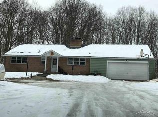 9800 S Clare Ave, Clare, MI 48617