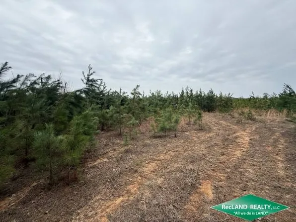 0 Old Snipe Rd, Choudrant, LA 71227