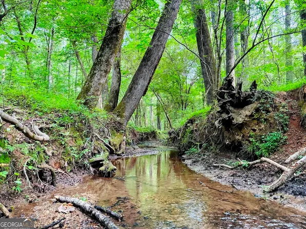 0 Caldwell Rd Tract B1, Gay, GA 30218