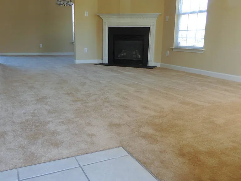 917 Redford Ln — Photo 4