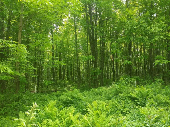9 Private Road Wi #139, Argonne, WI 54511