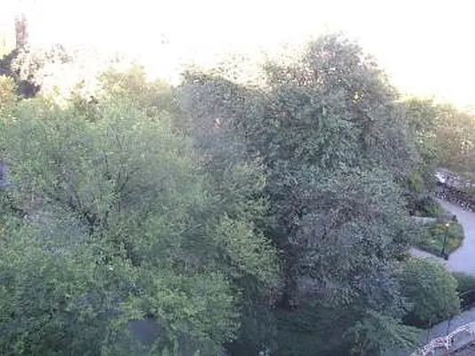 Sold by Corcoran | media 42