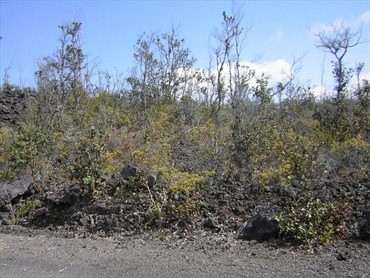 2nd image of Catamaran Ln Lot 11