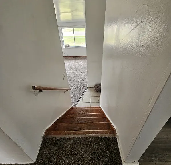 7 Evergreen Dr — Photo 9