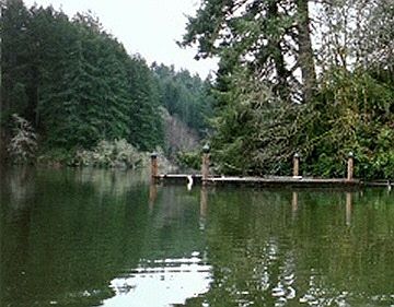 2nd image of 4261 S Tenmile Lk