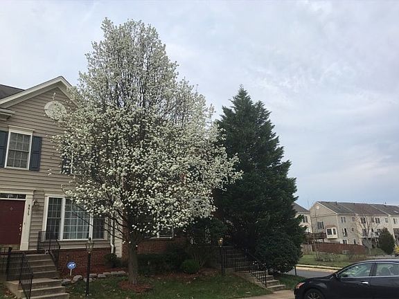4th image of 9617 Normanton Way