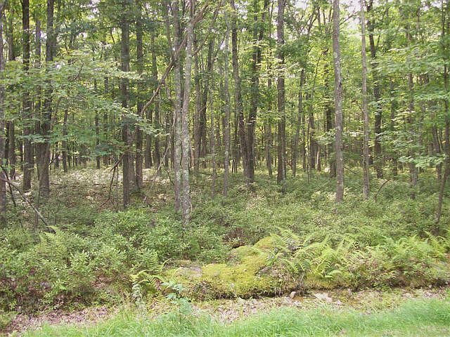 2nd image of LOT 2807 Lot 2807 Conashaugh